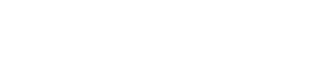 Secure Wire Technologies Logo